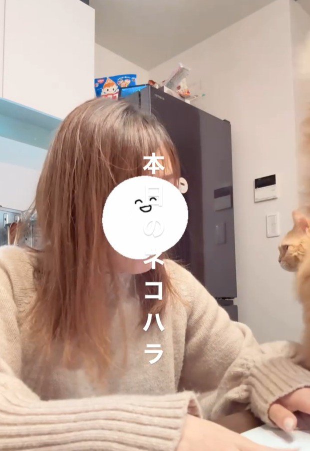 猫が通過し髪が乱れた飼い主