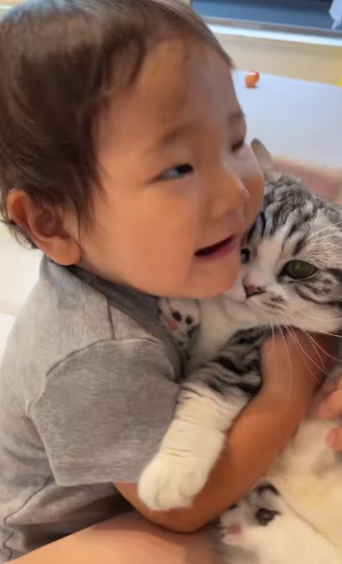 猫を抱きしめる男の子