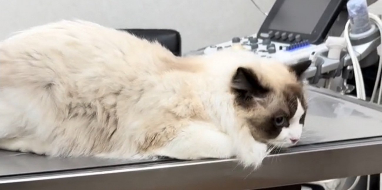 先生から目を背けるムンタちゃん