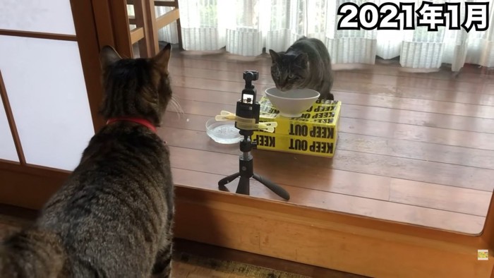 テロップ「2021年1月」