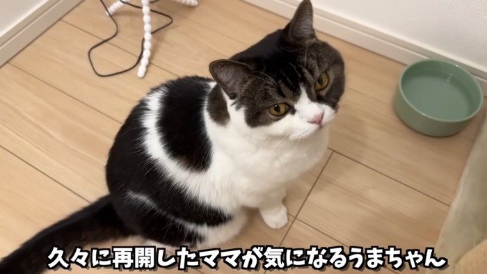 ぺこ美ちゃんを見上げるうま次郎くん