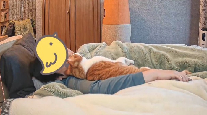 スマホを置いて猫を見つめる飼い主