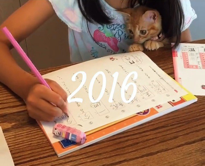 こどもに抱っこされる子猫