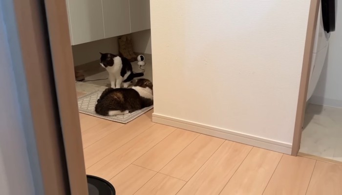 玄関で待つふたり