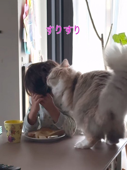 子どもにスリスリする猫