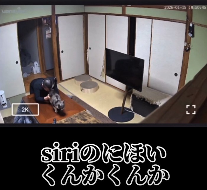 猫のおしりを嗅ぐ男性