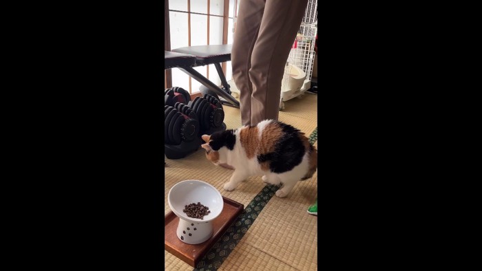 床を見つめる姿