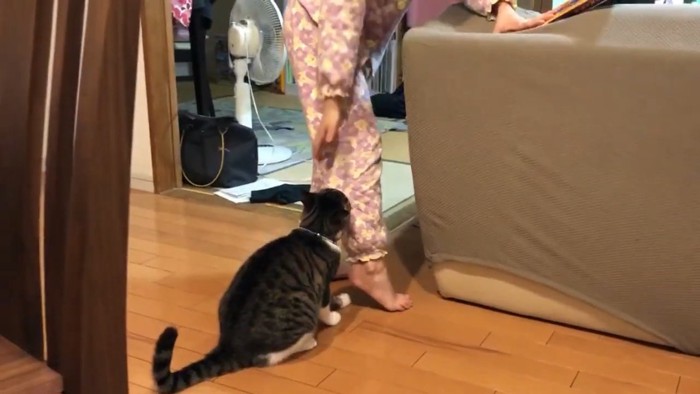 ソファーの横 足元に猫