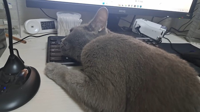 キーボードを枕に