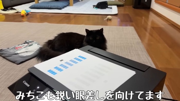 テロップ「みちこも鋭い眼差しを~」