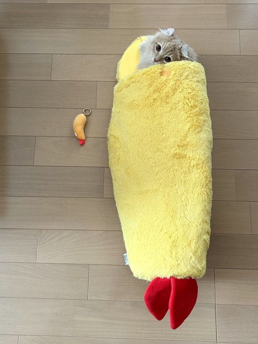 エビフライに入る猫