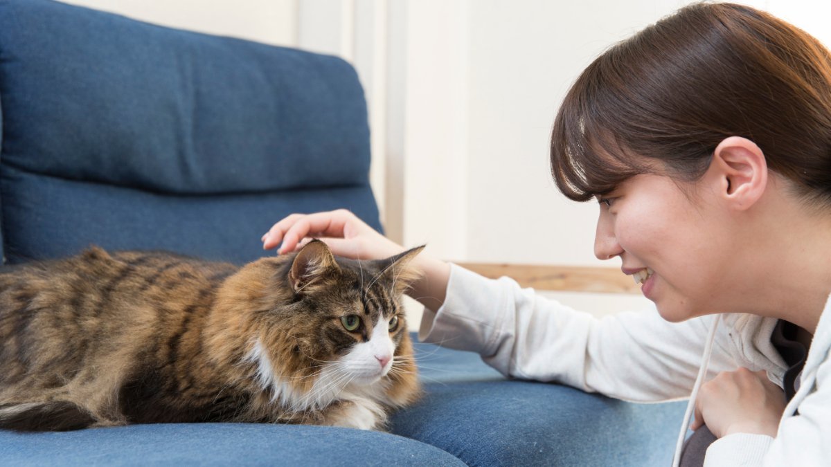 女性と猫
