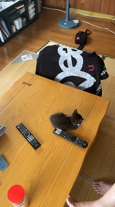 斜め上からのテーブル全体