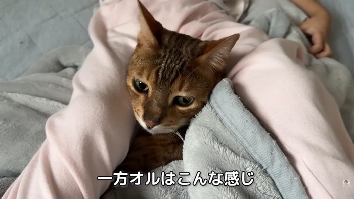 テロップ「一方オルは～」