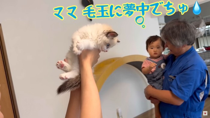 テロップ「ママ毛玉に~」