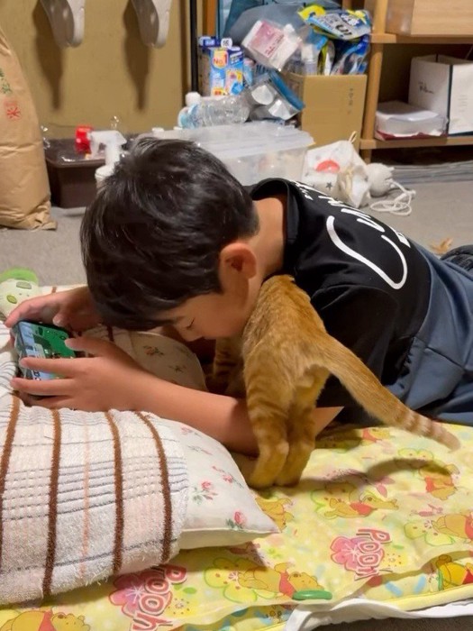 男の子の顔の下にいる子猫