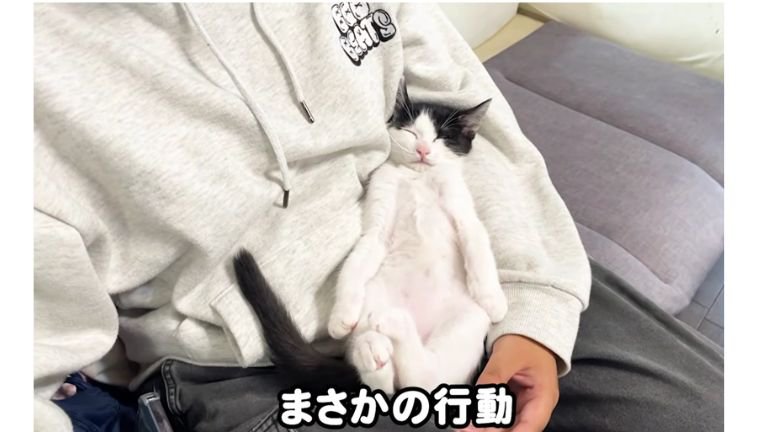 男性と寝ている猫