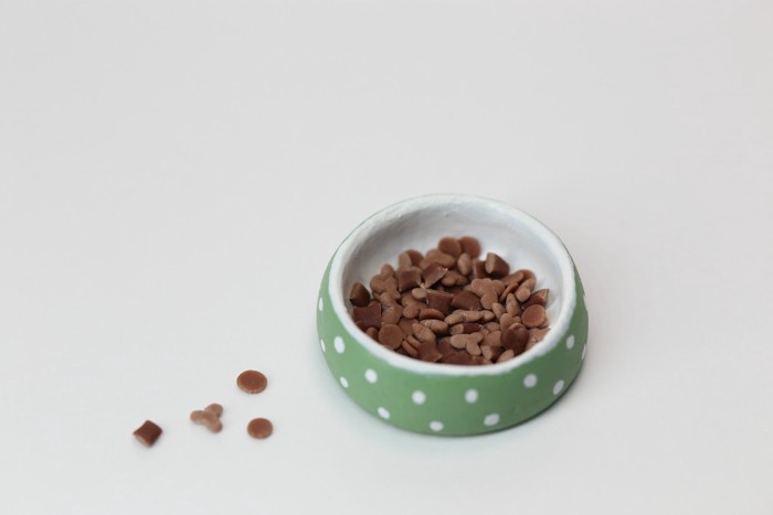 緑の器に入ったドライフード