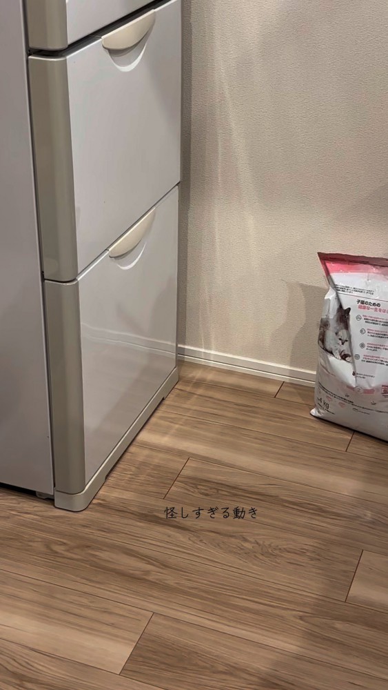 一見何の変哲もないキッチンの一角