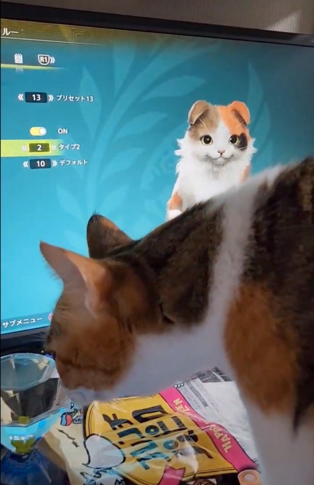 猫と一緒に声を試し聞き