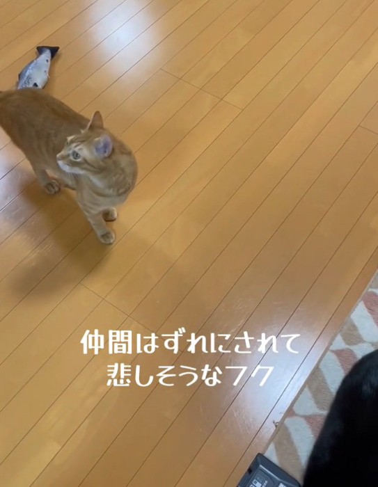 横を向くフクくん