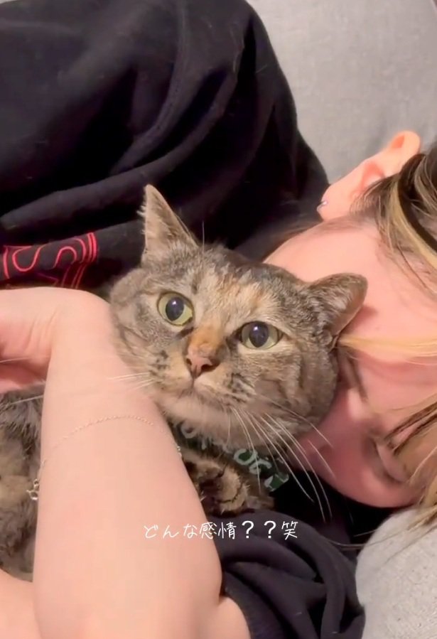 虚無顔のステラちゃん