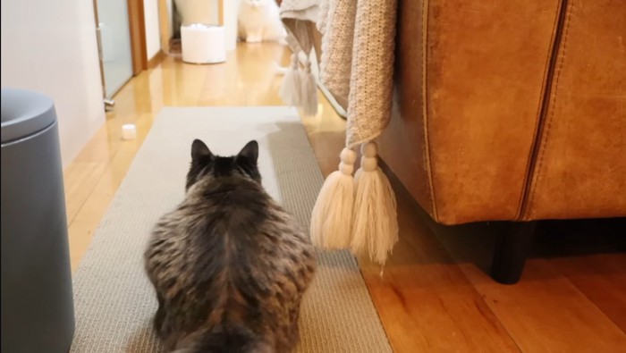 狙うハルちゃん