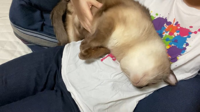 ひっくり返って