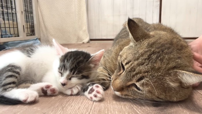 同じ向きで眠るふたり