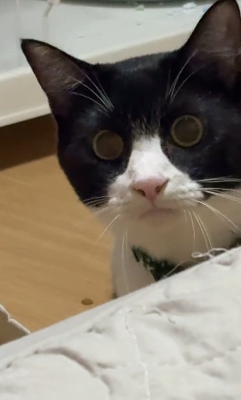 狙う