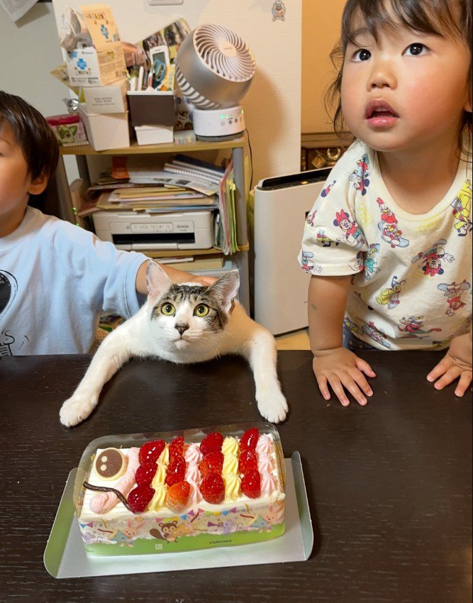 ケーキの前にいる子どもと猫