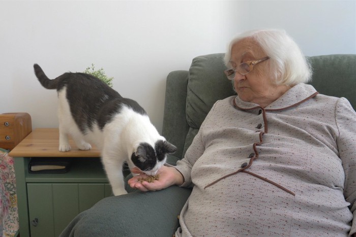 高齢女性と白黒猫