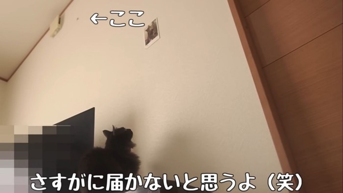 テロップ「さすがに届かないと思うよ(笑)」