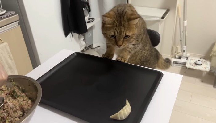 身を乗り出して