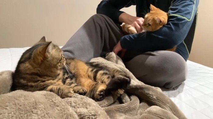 メルくんとプリンくん