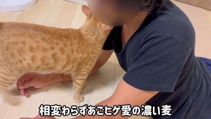 顎ヒゲにスリスリ