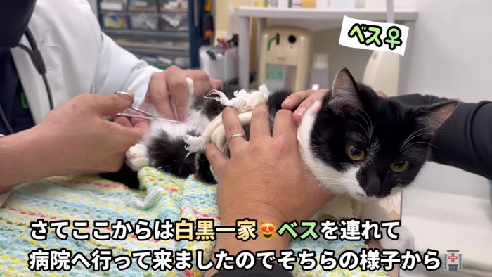 テロップ「さてここからは～」