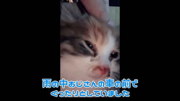 テロップ「雨の中おじさんの～」