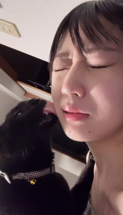 飼い主の顔をなめ続ける黒猫と痛そうな飼い主