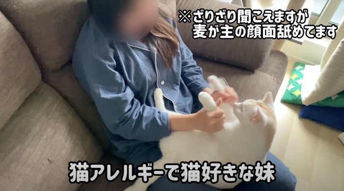 白い猫を膝に乗せる女性