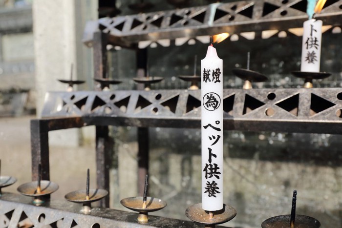 寺院のペット供養のろうそく