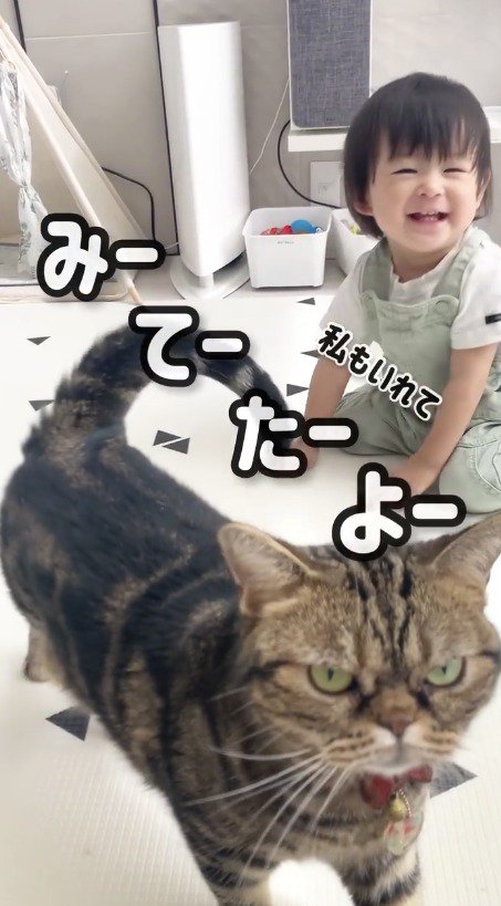 猫に声をかける飼い主