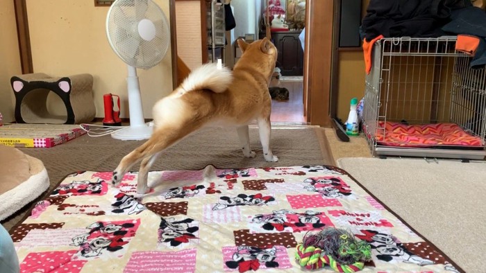 伸びをする後ろ姿