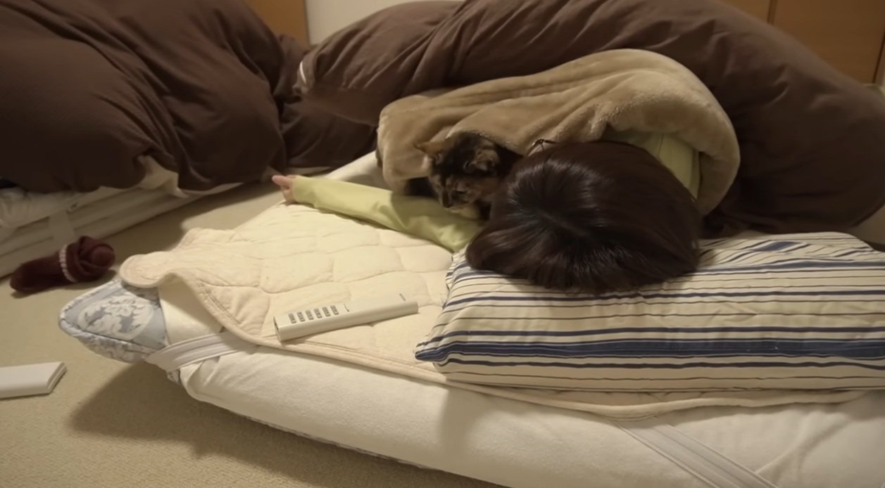 寝ている飼い主と添い寝する猫