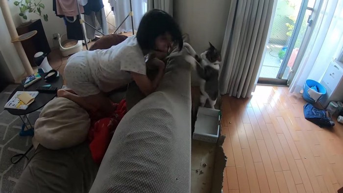 女の子に猫パンチ