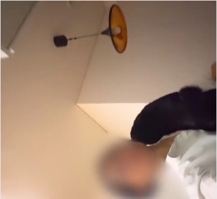 人に抱っこされている猫