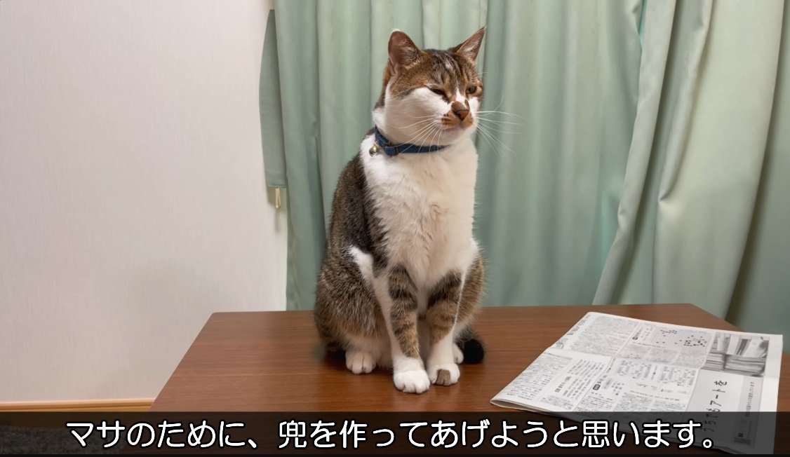 テーブルの上に載っている猫