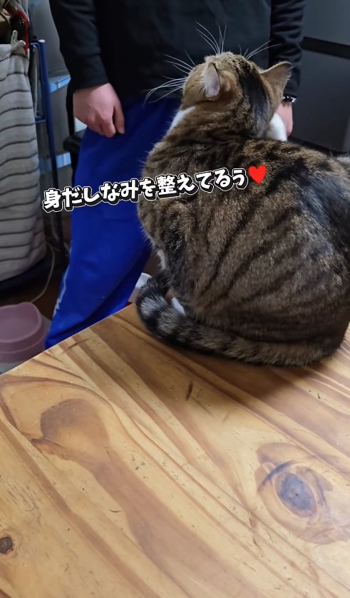 机の上に座って耳をかいている猫「身だしなみを整えてるぅ♡」