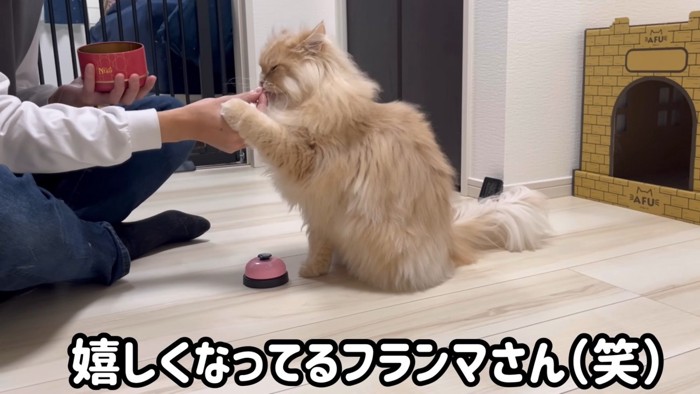 「嬉しくなってるフランマさん(笑)」