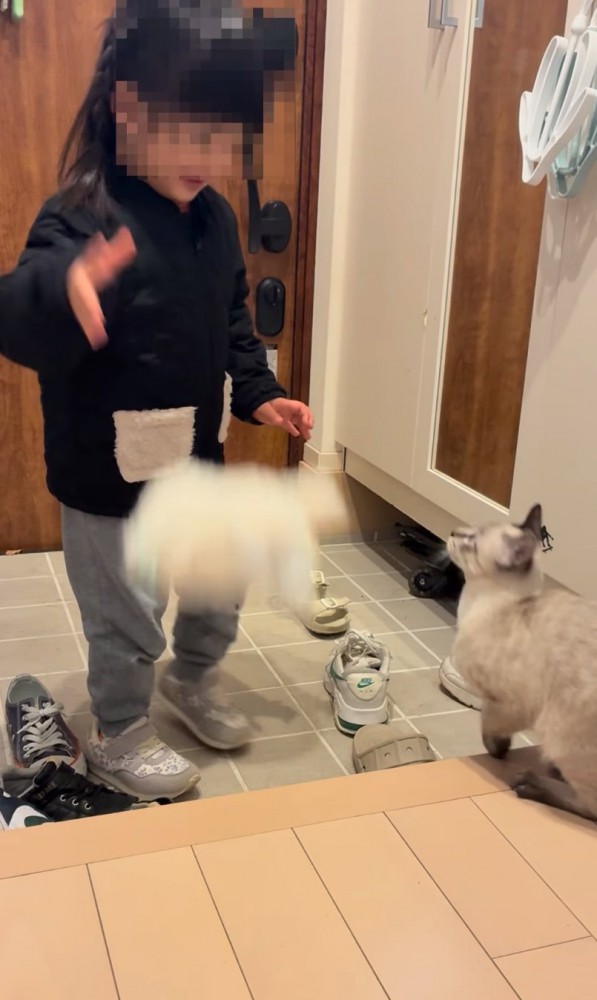 ぬいぐるみを放り投げる女の子